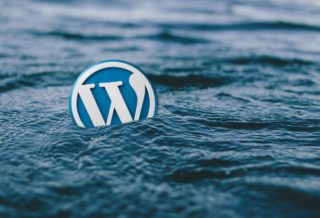 When to Prefer Drupal and Not Word-Press